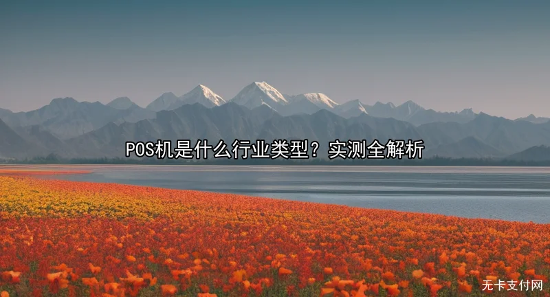 POS机是什么行业类型？实测全解析